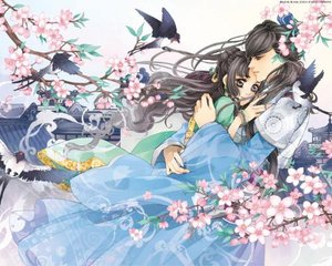 深入了解 蘑菇Tv网页版官方登录入口版